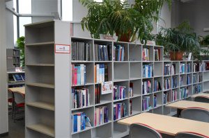 Wózek biblioteczny 2