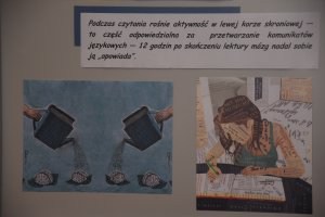 Dowolność czytania 12